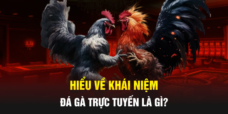 Hiểu về khái niệm đá gà trực tuyến là gì?