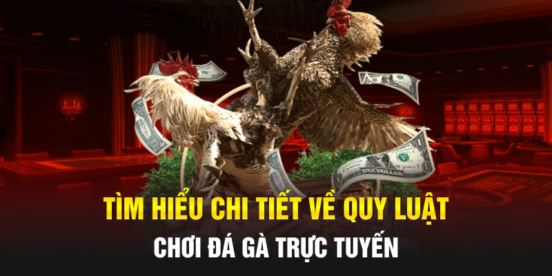 Tìm hiểu chi tiết về quy luật chơi đá gà trực tuyến